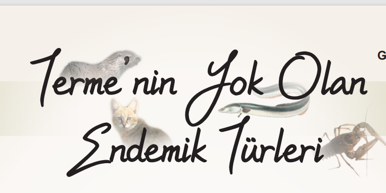 Ekran görüntüsü 2022-01-18 001237